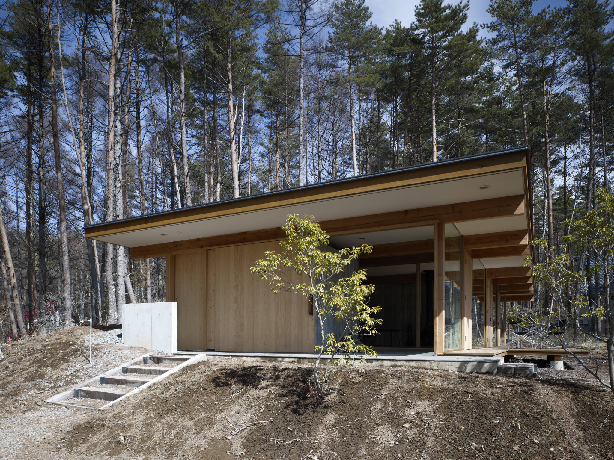 House in the Forest by SUWA