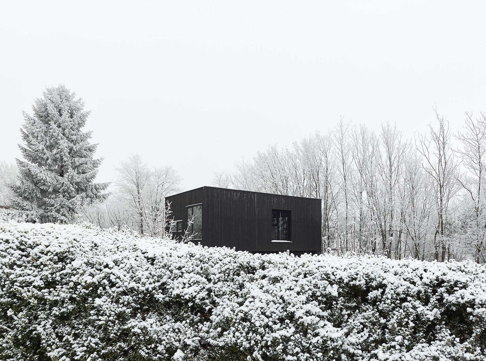 The Small Black by Pichler Architecture