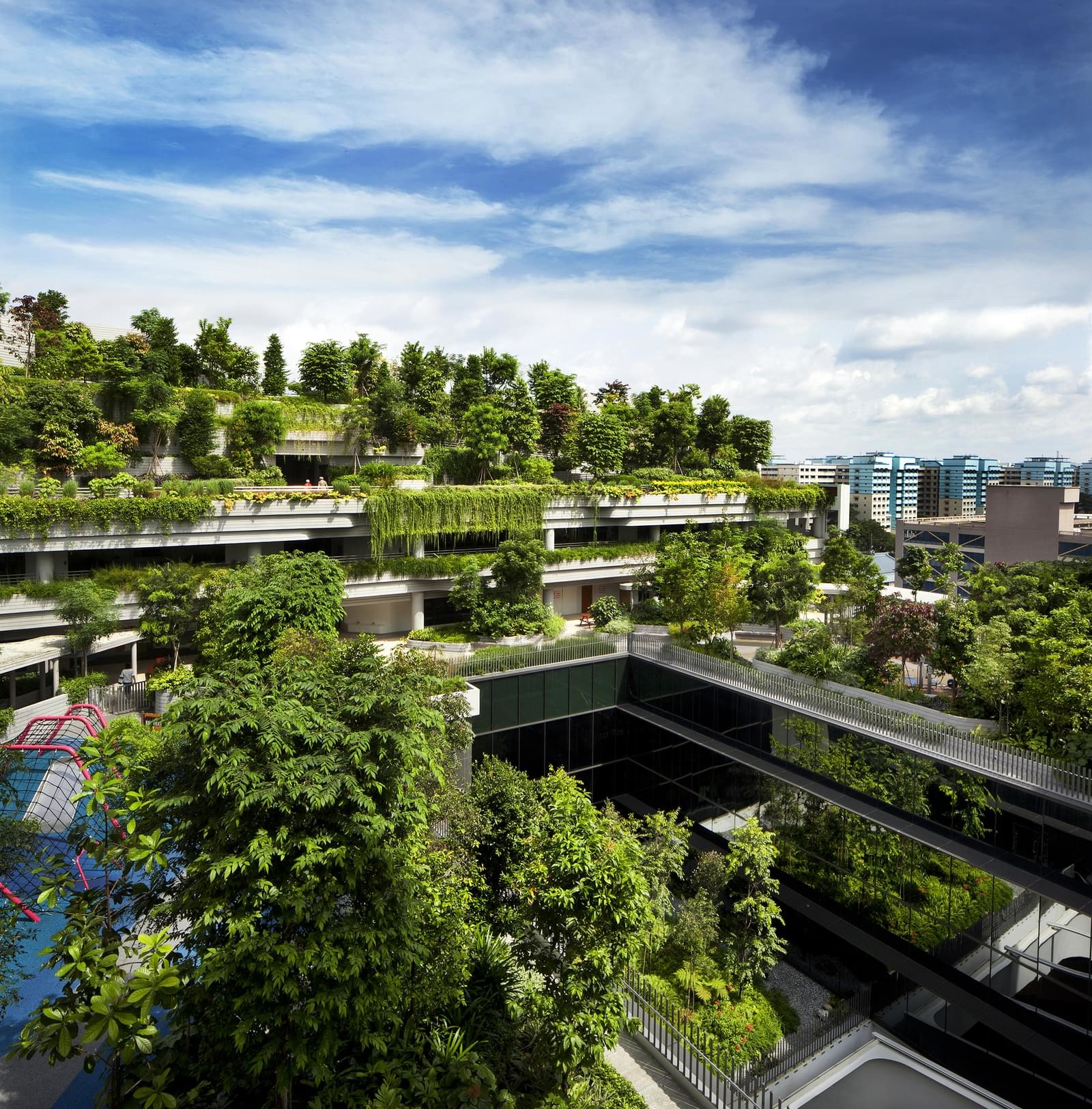 Kampung Admiralty Integrated Public Space in Singapore