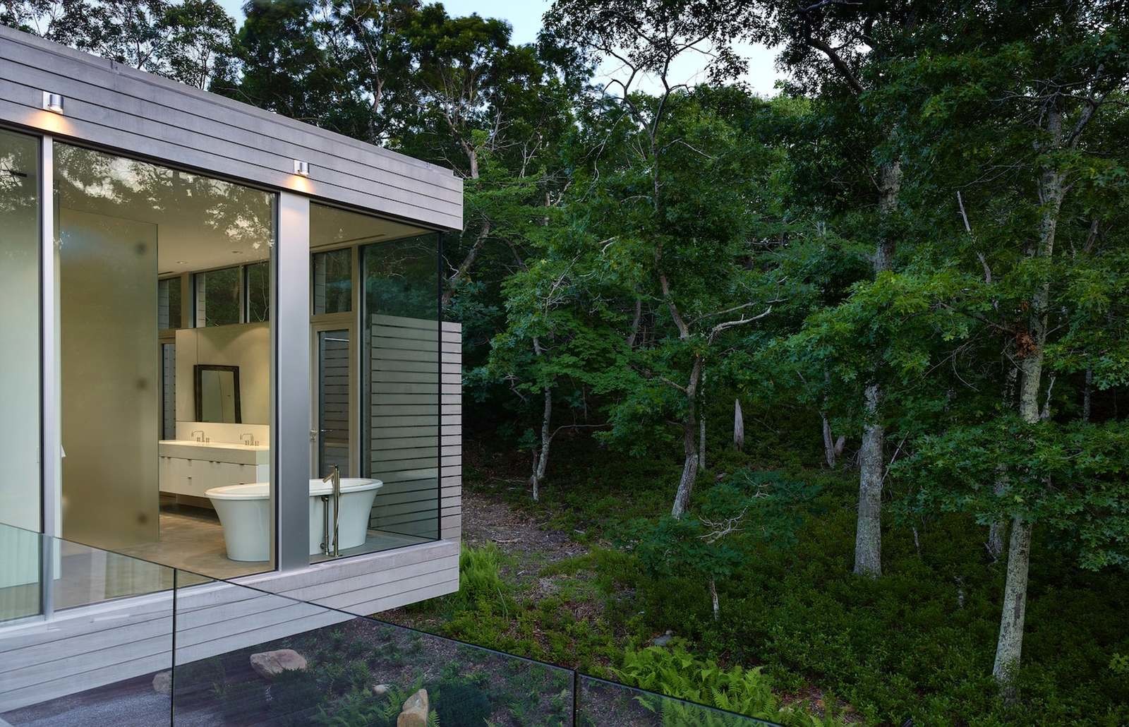 Modern house in the forest