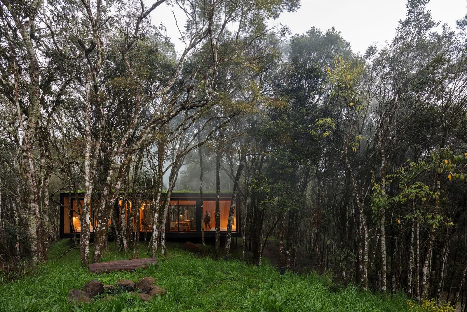  Modular house in a Brazilian forest