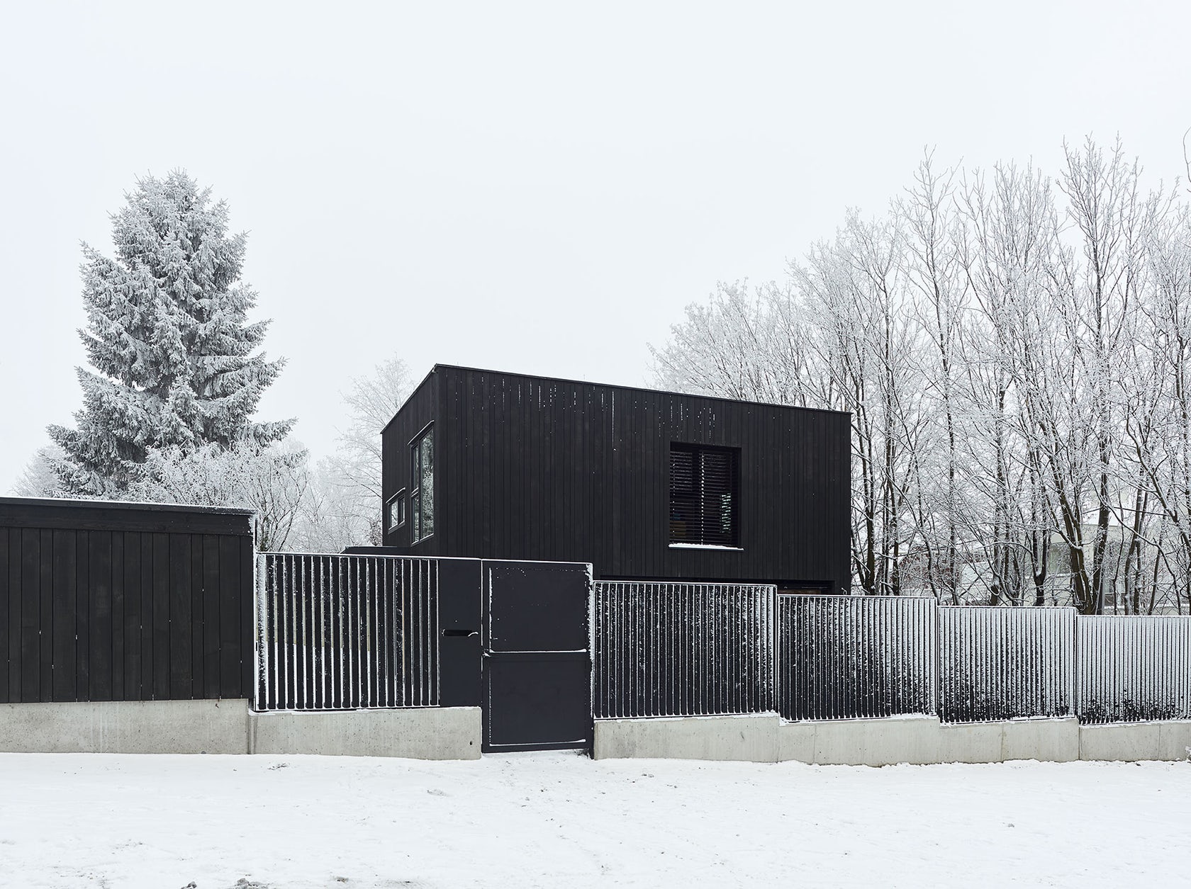 The Small Black by Pichler Architecture