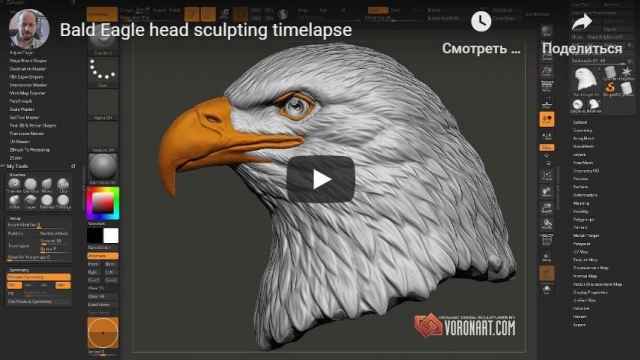Bald Eagle head sculpting timelapse