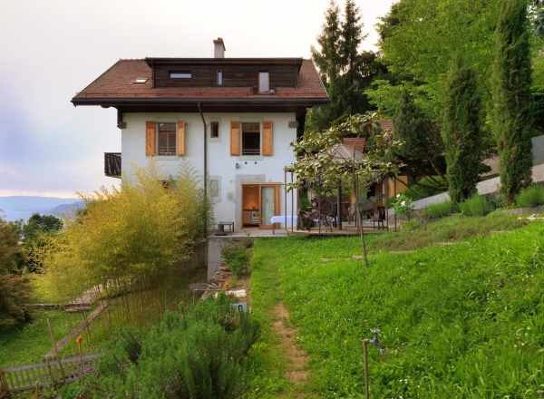 Architect's House in Switzerland
