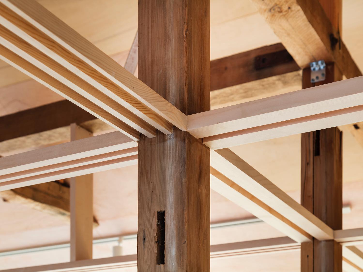 House Between Pillars by Camp Design Inc