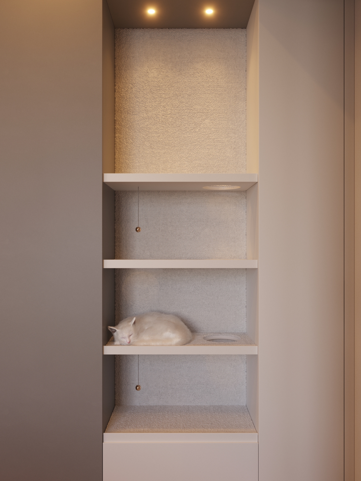 Cat shelf bedroom