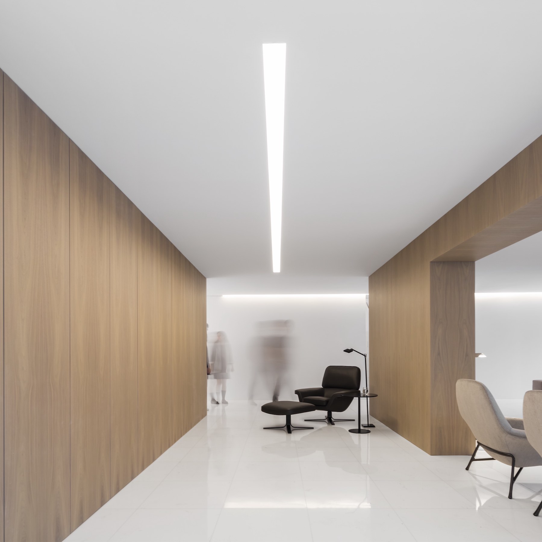 House Between the Pine Forest by Fran Silvestre Arquitectos