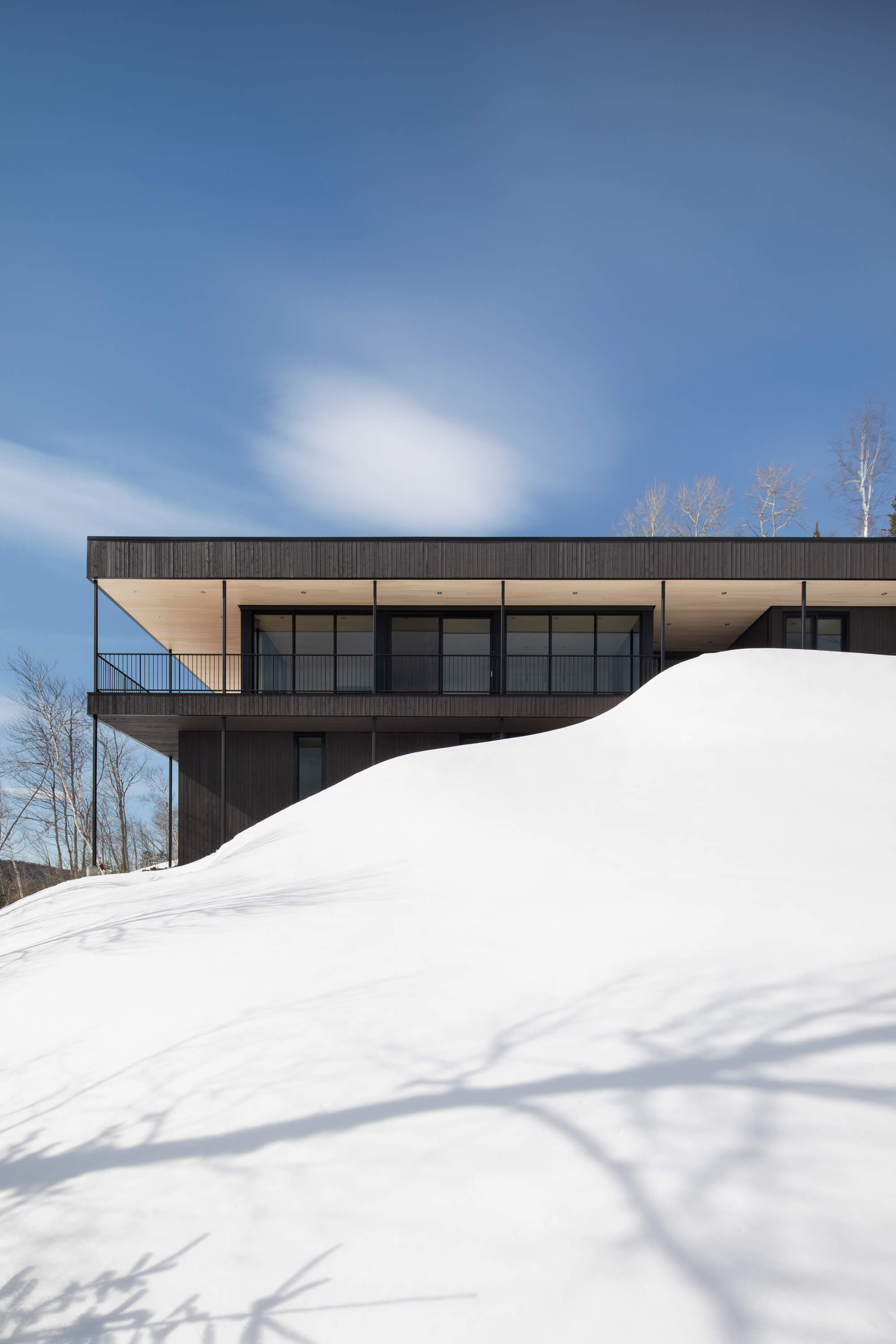 Residence Long View by Bourgeois / Lechasseur Architects