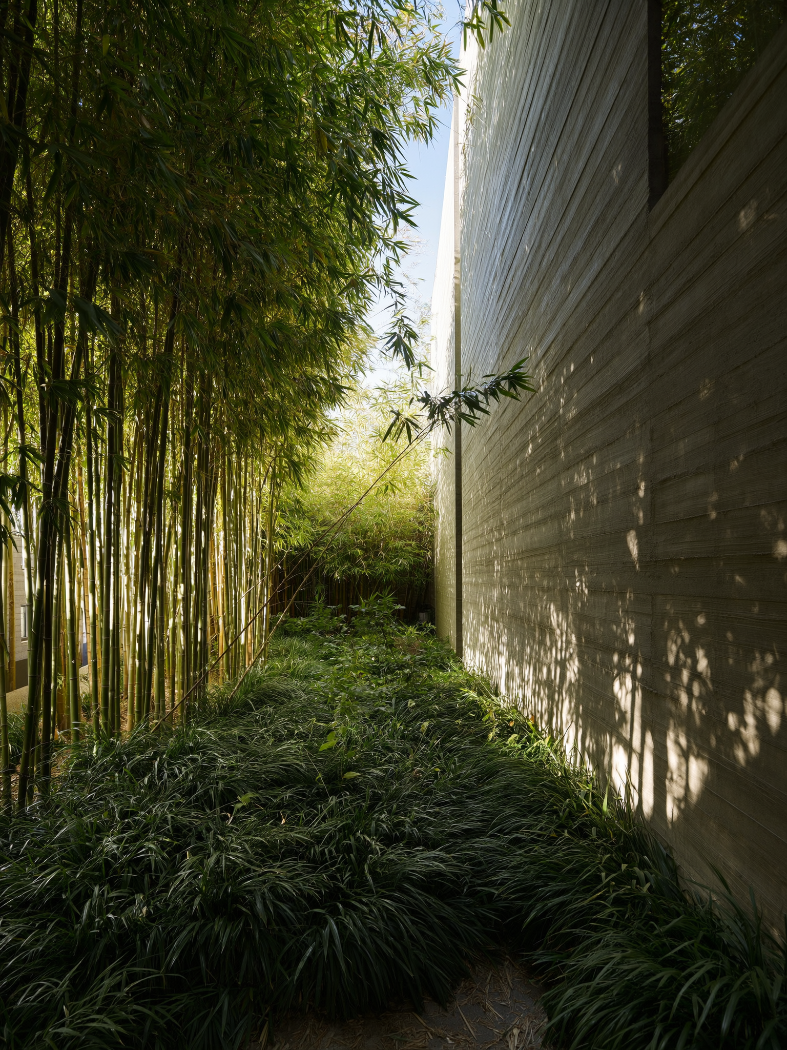 Лучшие нейросети (AI) для улучшения, создания и редактирования изображений [с нуля до проф. уровня] от CGBandit