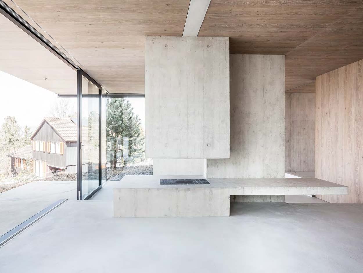 House in Riehen by Lukas Raeber