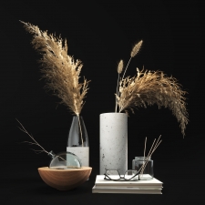 Decor set with dry plants