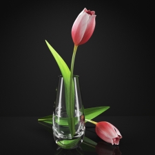 Тюльпан в вазе