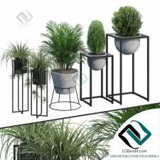 Подставка для растений Plant Stand