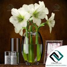 Декоративный набор Decor set LIGHT YELLOW AMARYLLIS