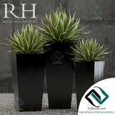 Растения Restoration Hardware terrano planter