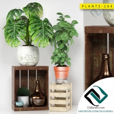 PLANTS РАСТЕНИЯ 118