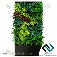 Vertical gardening Вертикальное озеленение 01