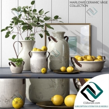 Декоративный набор Pottery Barn MARLOWE CERAMIC VASE COLLECTION