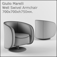 Giulio Marelli Well