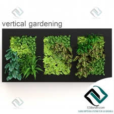 Vertical gardening Вертикальное озеленение 177