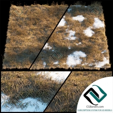Трава dry grass with snow