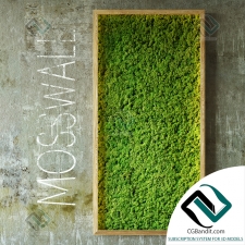 Фитостены Moss wall Стена из мха 03