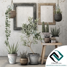 Decor plant set Набор декоративных растений 91