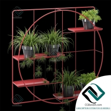 Wall mounted plant hanger