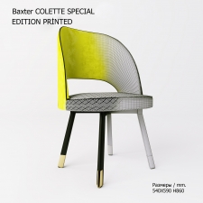 СТУЛ BAXTER COLETTE CHAIR