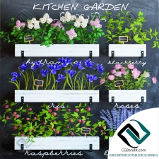 растения для кухни Kitchen garden