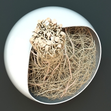 Vase Monfredo - Root decorative plant