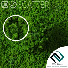 стабилизированный мох stabilized moss for scatter