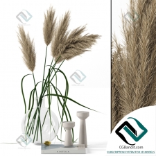 Декоративный набор Decor set Grass in round vase