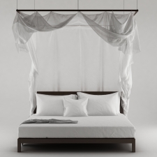 Bed Canopy