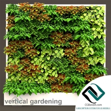 Vertical gardening Вертикальное озеленение 11