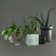Decorativ set of plants