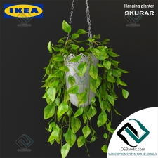 Растения ikea skurar hanging planter