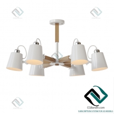 Подвесной светильник Hanging lamp MW-Light Forest