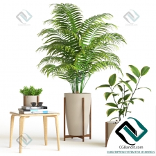 Plant set Набор растений 63