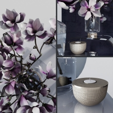 Decor set with magnolia