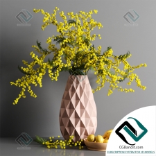 Декоративный набор Decor set Mimosa Lemon