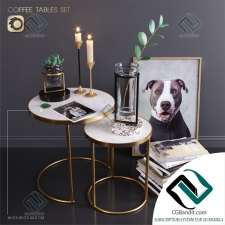 Декоративный набор Decor set ZARA HOME coffee tables