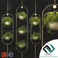 Indoor Plant partition Перегородка для комнатных растений