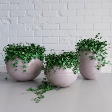 Decorative planters set