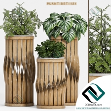 Набор растений Plant set 06