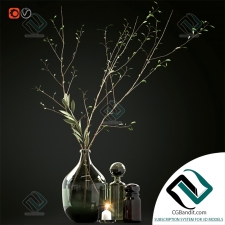 Декоративный набор Decor set with branches and glass bottles