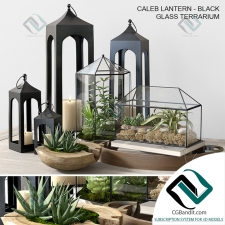 Декоративный набор Pottery barn GLASS TERRARIUM