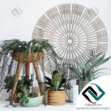 Декоративный набор Decor set with indoor plants