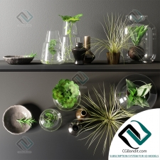Декоративный набор Decor set with plants 21
