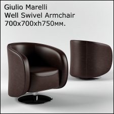 Giulio Marelli Well